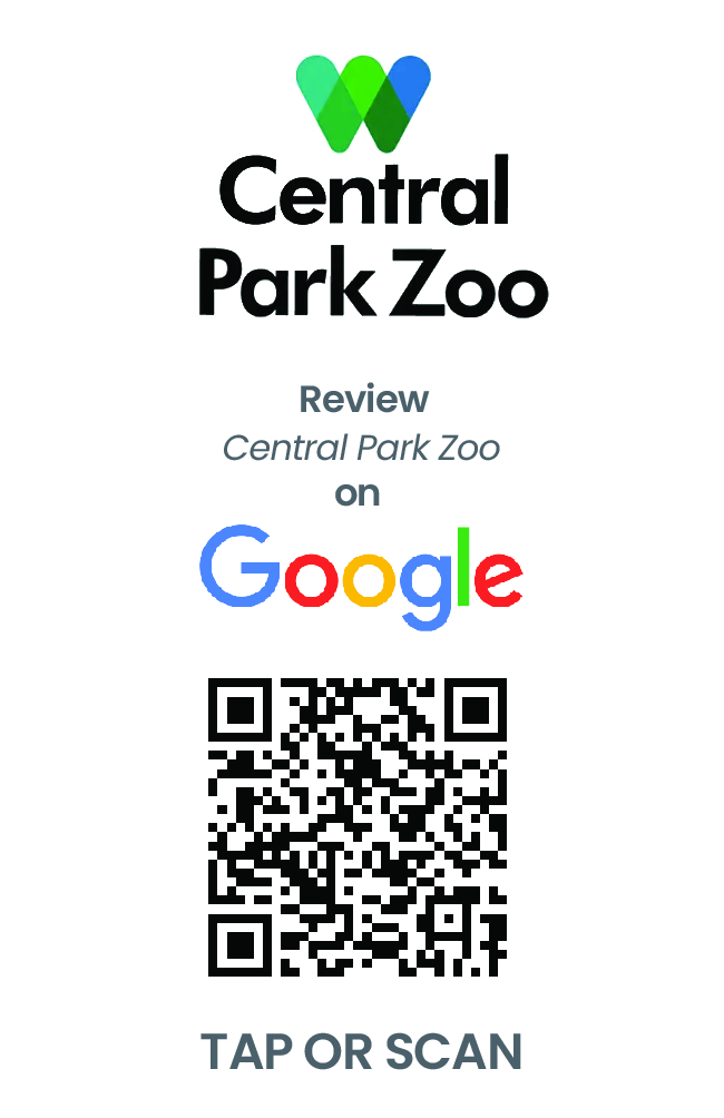 Business Custom Card